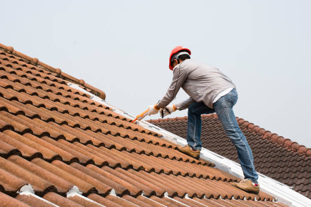 Best Roof Insulation Installation  in Bloomington, MN