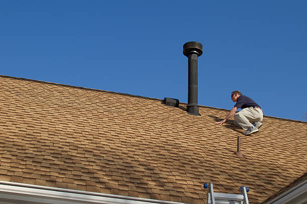 Best Solar Panel Roofing Installation  in Bloomington, MN